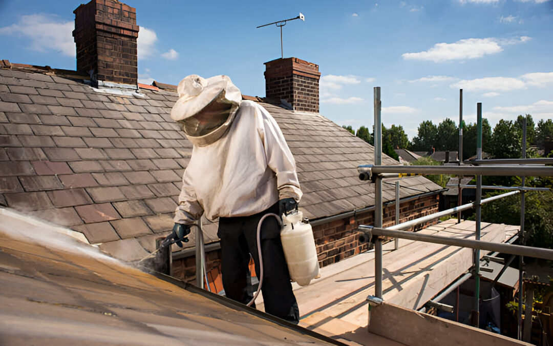 How to Remove Wasp Nest: A Step-by-Step Guide to Safe and Effective Removal